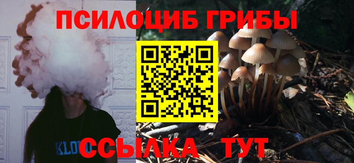 Псилоцибиновые грибы Psilocybe  купить   Вход с VPN  Нефтеюганск  Псилоцибиновые грибы мицелий 